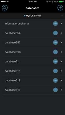 Query - A MySQL client for iPhone
